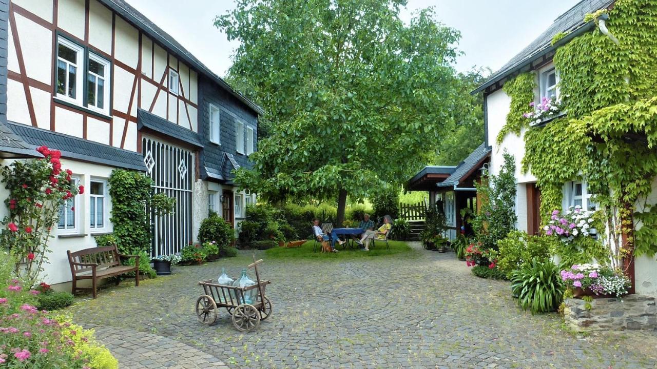 Ferienhof Mies Steffenshof Buitenkant foto