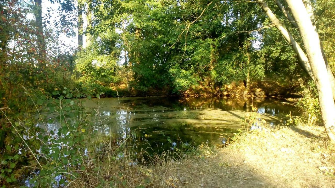 Ferienhof Mies Steffenshof Buitenkant foto
